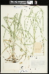  ( - CCDB-23967-A10)  @11 [ ] CreativeCommons - Attribution (2015) Agriculture and Agri-Food Canada Agriculture and Agri-Food Canada