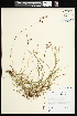  ( - CCDB-23967-B07)  @11 [ ] CreativeCommons - Attribution (2015) Agriculture and Agri-Food Canada Agriculture and Agri-Food Canada
