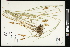  ( - CCDB-23967-B11)  @11 [ ] CreativeCommons - Attribution (2015) Agriculture and Agri-Food Canada Agriculture and Agri-Food Canada
