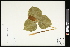  ( - CCDB-23967-C03)  @11 [ ] CreativeCommons - Attribution (2015) Agriculture and Agri-Food Canada Agriculture and Agri-Food Canada