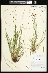  ( - CCDB-23967-C07)  @11 [ ] CreativeCommons - Attribution (2015) Agriculture and Agri-Food Canada Agriculture and Agri-Food Canada