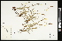  ( - CCDB-23967-C09)  @11 [ ] CreativeCommons - Attribution (2015) Agriculture and Agri-Food Canada Agriculture and Agri-Food Canada