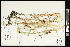  ( - CCDB-23967-C11)  @11 [ ] CreativeCommons - Attribution (2015) Agriculture and Agri-Food Canada Agriculture and Agri-Food Canada