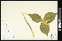  ( - CCDB-23967-D03)  @11 [ ] CreativeCommons - Attribution (2015) Agriculture and Agri-Food Canada Agriculture and Agri-Food Canada