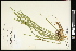  ( - CCDB-23967-D09)  @11 [ ] CreativeCommons - Attribution (2015) Agriculture and Agri-Food Canada Agriculture and Agri-Food Canada