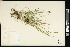  ( - CCDB-23967-D10)  @11 [ ] CreativeCommons - Attribution (2015) Agriculture and Agri-Food Canada Agriculture and Agri-Food Canada