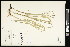  ( - CCDB-23967-D11)  @11 [ ] CreativeCommons - Attribution (2015) Agriculture and Agri-Food Canada Agriculture and Agri-Food Canada