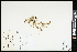  ( - CCDB-23967-E01)  @11 [ ] CreativeCommons - Attribution (2015) Agriculture and Agri-Food Canada Agriculture and Agri-Food Canada