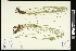  ( - CCDB-23967-E10)  @11 [ ] CreativeCommons - Attribution (2015) Agriculture and Agri-Food Canada Agriculture and Agri-Food Canada
