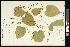  ( - CCDB-23967-F06)  @11 [ ] CreativeCommons - Attribution (2015) Agriculture and Agri-Food Canada Agriculture and Agri-Food Canada
