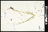  ( - CCDB-23967-F10)  @11 [ ] CreativeCommons - Attribution (2015) Agriculture and Agri-Food Canada Agriculture and Agri-Food Canada