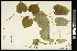  ( - CCDB-23967-G06)  @11 [ ] CreativeCommons - Attribution (2015) Agriculture and Agri-Food Canada Agriculture and Agri-Food Canada