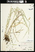  ( - CCDB-23967-H11)  @11 [ ] CreativeCommons - Attribution (2015) Agriculture and Agri-Food Canada Agriculture and Agri-Food Canada