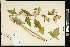  ( - CCDB-24795-B03)  @11 [ ] CreativeCommons - Attribution (2015) Agriculture and Agri-Food Canada Agriculture and Agri-Food Canada