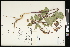  ( - CCDB-24795-C03)  @11 [ ] CreativeCommons - Attribution (2015) Agriculture and Agri-Food Canada Agriculture and Agri-Food Canada