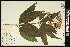 ( - CCDB-24795-C11)  @11 [ ] CreativeCommons - Attribution (2015) Agriculture and Agri-Food Canada Agriculture and Agri-Food Canada