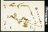  ( - CCDB-24795-D10)  @11 [ ] CreativeCommons - Attribution (2015) Agriculture and Agri-Food Canada Agriculture and Agri-Food Canada