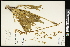 ( - CCDB-24795-E10)  @11 [ ] CreativeCommons - Attribution (2015) Agriculture and Agri-Food Canada Agriculture and Agri-Food Canada