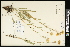 ( - CCDB-24795-F12)  @11 [ ] CreativeCommons - Attribution (2015) Agriculture and Agri-Food Canada Agriculture and Agri-Food Canada