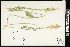  ( - CCDB-24795-G11)  @11 [ ] CreativeCommons - Attribution (2015) Agriculture and Agri-Food Canada Agriculture and Agri-Food Canada