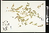  ( - CCDB-24798-B04)  @11 [ ] CreativeCommons - Attribution (2015) Agriculture and Agri-Food Canada Agriculture and Agri-Food Canada