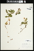  ( - CCDB-24798-C11)  @11 [ ] CreativeCommons - Attribution (2015) Agriculture and Agri-Food Canada Agriculture and Agri-Food Canada