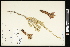  ( - CCDB-24798-D07)  @11 [ ] CreativeCommons - Attribution (2015) Agriculture and Agri-Food Canada Agriculture and Agri-Food Canada