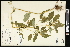  ( - CCDB-24798-E08)  @11 [ ] CreativeCommons - Attribution (2015) Agriculture and Agri-Food Canada Agriculture and Agri-Food Canada