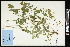  ( - CCDB-24798-E10)  @11 [ ] CreativeCommons - Attribution (2015) Agriculture and Agri-Food Canada Agriculture and Agri-Food Canada
