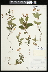  ( - CCDB-24798-E11)  @11 [ ] CreativeCommons - Attribution (2015) Agriculture and Agri-Food Canada Agriculture and Agri-Food Canada