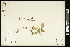  ( - CCDB-24798-F08)  @11 [ ] CreativeCommons - Attribution (2015) Agriculture and Agri-Food Canada Agriculture and Agri-Food Canada