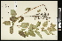  ( - CCDB-24798-G09)  @11 [ ] CreativeCommons - Attribution (2015) Agriculture and Agri-Food Canada Agriculture and Agri-Food Canada