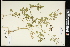  ( - CCDB-24798-G10)  @11 [ ] CreativeCommons - Attribution (2015) Agriculture and Agri-Food Canada Agriculture and Agri-Food Canada