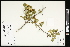  ( - CCDB-24801-A09)  @11 [ ] CreativeCommons - Attribution (2015) Agriculture and Agri-Food Canada Agriculture and Agri-Food Canada
