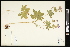  ( - CCDB-24801-C07)  @11 [ ] CreativeCommons - Attribution (2015) Agriculture and Agri-Food Canada Agriculture and Agri-Food Canada