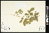  ( - CCDB-24801-C10)  @11 [ ] CreativeCommons - Attribution (2015) Agriculture and Agri-Food Canada Agriculture and Agri-Food Canada