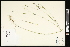  ( - CCDB-24801-D08)  @11 [ ] CreativeCommons - Attribution (2015) Agriculture and Agri-Food Canada Agriculture and Agri-Food Canada