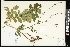  ( - CCDB-24801-E10)  @11 [ ] CreativeCommons - Attribution (2015) Agriculture and Agri-Food Canada Agriculture and Agri-Food Canada