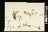  ( - CCDB-24801-E12)  @11 [ ] CreativeCommons - Attribution (2015) Agriculture and Agri-Food Canada Agriculture and Agri-Food Canada