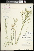  ( - CCDB-24801-G08)  @11 [ ] CreativeCommons - Attribution (2015) Agriculture and Agri-Food Canada Agriculture and Agri-Food Canada