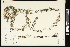  ( - CCDB-24801-H04)  @11 [ ] CreativeCommons - Attribution (2015) Agriculture and Agri-Food Canada Agriculture and Agri-Food Canada