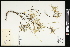 ( - CCDB-24803-A05)  @11 [ ] CreativeCommons - Attribution (2015) Agriculture and Agri-Food Canada Agriculture and Agri-Food Canada