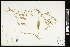  ( - CCDB-24803-C02)  @11 [ ] CreativeCommons - Attribution (2015) Agriculture and Agri-Food Canada Agriculture and Agri-Food Canada