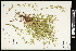  ( - CCDB-24803-D10)  @11 [ ] CreativeCommons - Attribution (2015) Agriculture and Agri-Food Canada Agriculture and Agri-Food Canada
