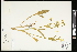  ( - CCDB-24803-E02)  @11 [ ] CreativeCommons - Attribution (2015) Agriculture and Agri-Food Canada Agriculture and Agri-Food Canada