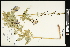  ( - CCDB-24803-E04)  @11 [ ] CreativeCommons - Attribution (2015) Agriculture and Agri-Food Canada Agriculture and Agri-Food Canada