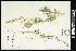  ( - CCDB-24803-F04)  @11 [ ] CreativeCommons - Attribution (2015) Agriculture and Agri-Food Canada Agriculture and Agri-Food Canada