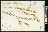  ( - CCDB-24803-F10)  @11 [ ] CreativeCommons - Attribution (2015) Agriculture and Agri-Food Canada Agriculture and Agri-Food Canada
