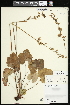  ( - CCDB-24803-G09)  @11 [ ] CreativeCommons - Attribution (2015) Agriculture and Agri-Food Canada Agriculture and Agri-Food Canada