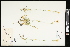  ( - CCDB-24803-H06)  @11 [ ] CreativeCommons - Attribution (2015) Agriculture and Agri-Food Canada Agriculture and Agri-Food Canada